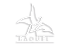 Bronze Sculptures Gallery by Raquel Barba ARTIST ::: SCULPTURE GALLERY ::: Bronze Sculptures Gallery by Raquel Barba ARTIST ::: SCULPTURE GALLERY :::